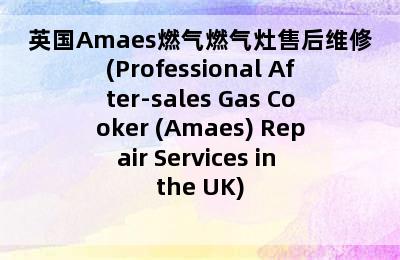 英国Amaes燃气燃气灶售后维修(Professional After-sales Gas Cooker (Amaes) Repair Services in the UK)